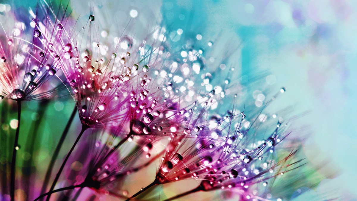 Special finishes textile chemicals